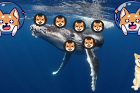 Balinalar Shiba İnu Yatırımlarına Devam Ediyor... 36 Adsiz tasarim 12