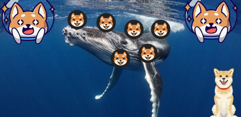 Balinalar Shiba İnu Yatırımlarına Devam Ediyor... 1 Adsiz tasarim 12