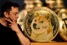 Dogecoin(DOGE)