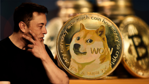 Dogecoin(DOGE)