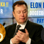 Son Dakika ! Elon Musk'tan Dogecoin (DOGE) Paylaşımı. 35 Dogecoin (DOGE)