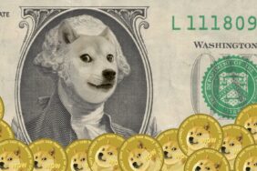 Dogecoin (DOGE/USDT) Teknik Analizi: Fiyat Hedefleri ve Piyasa Beklentileri 37 Dogecoin (DOGE)