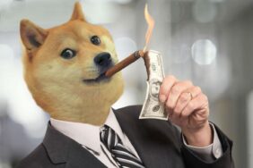 Son Dakika: Dogecoin (DOGE) Uçuyor ! 17 DOGE 11 1