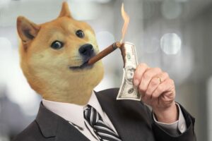 DOGE 11 1