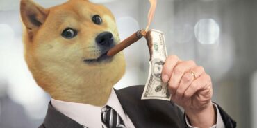DOGE ve SHIB Cephesinde Son Durum 1 DOGE VE SHİBA ANALİZİ