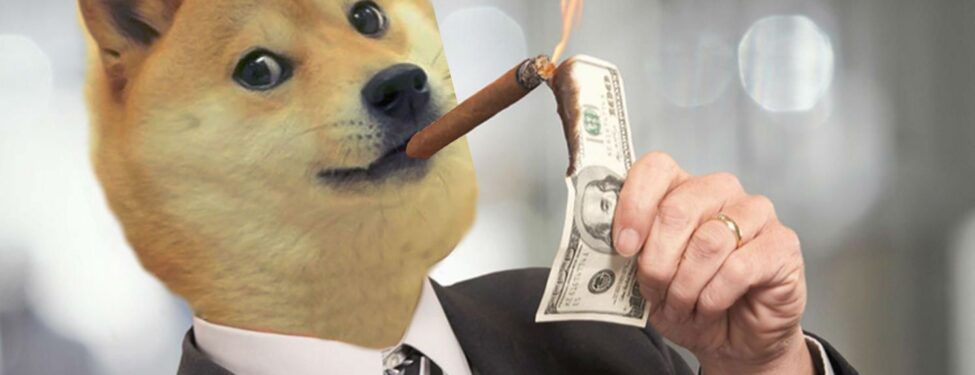 DOGE ve SHIB Cephesinde Son Durum 6 DOGE VE SHİBA ANALİZİ