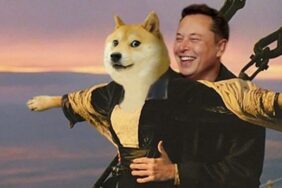Dogecoin (DOGE) / Elon Musk