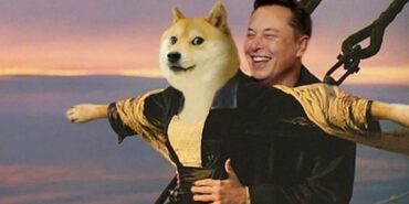 Dogecoin (DOGE) / Elon Musk