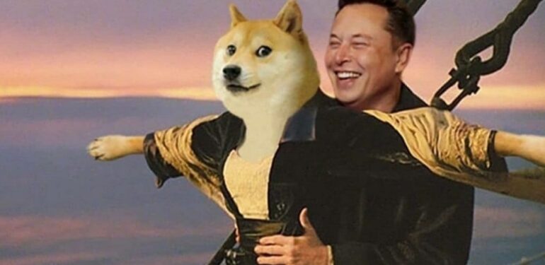 Dogecoin (DOGE) / Elon Musk