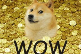 Dogecoin (DOGE) Yatırımcılarını Sevindiren Haber Geldi. 15 DOGECOİN (DOGE)