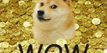 DOGECOİN (DOGE)