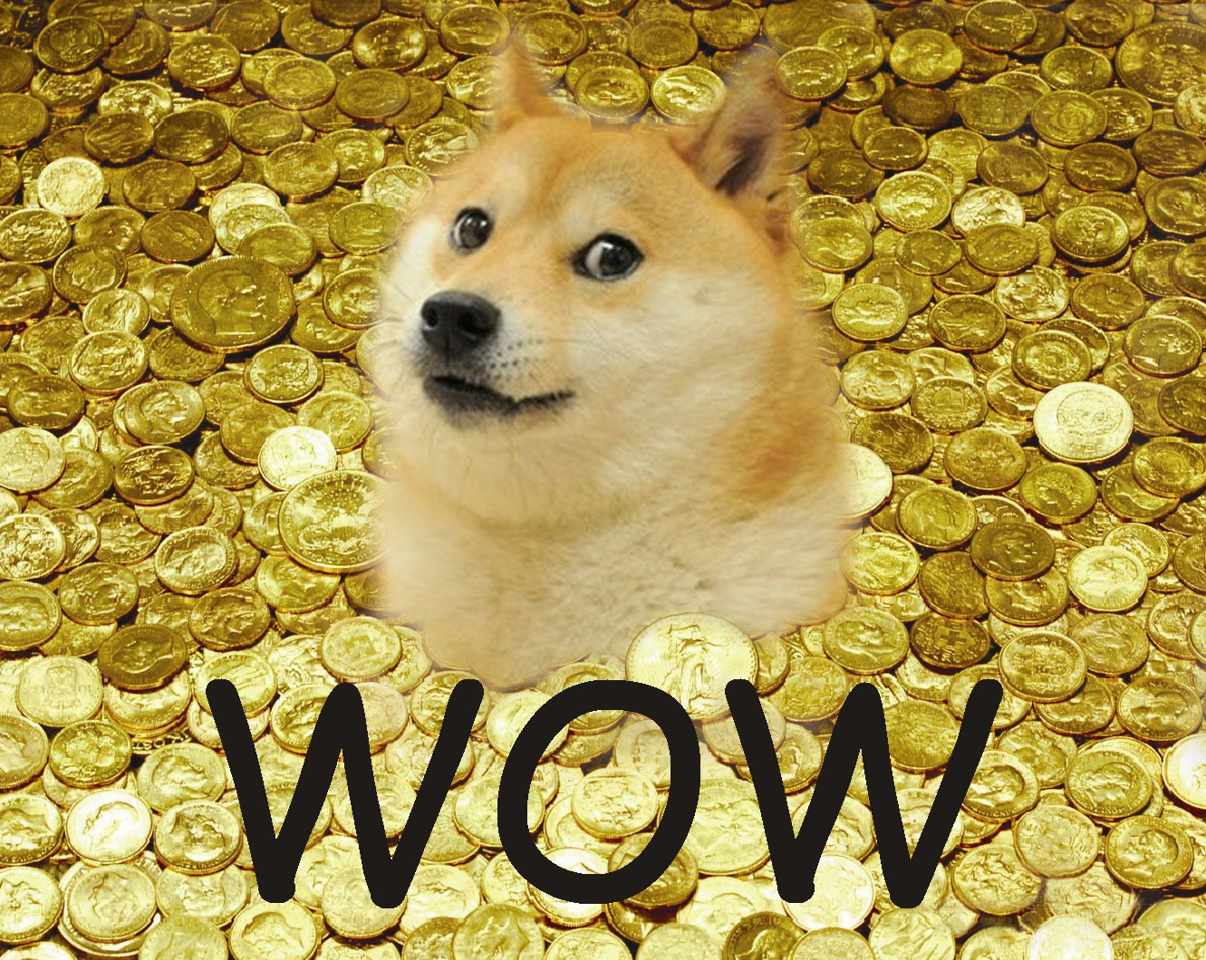 DOGE 9