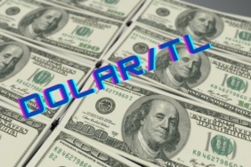 Dolar/TL Fiyatı