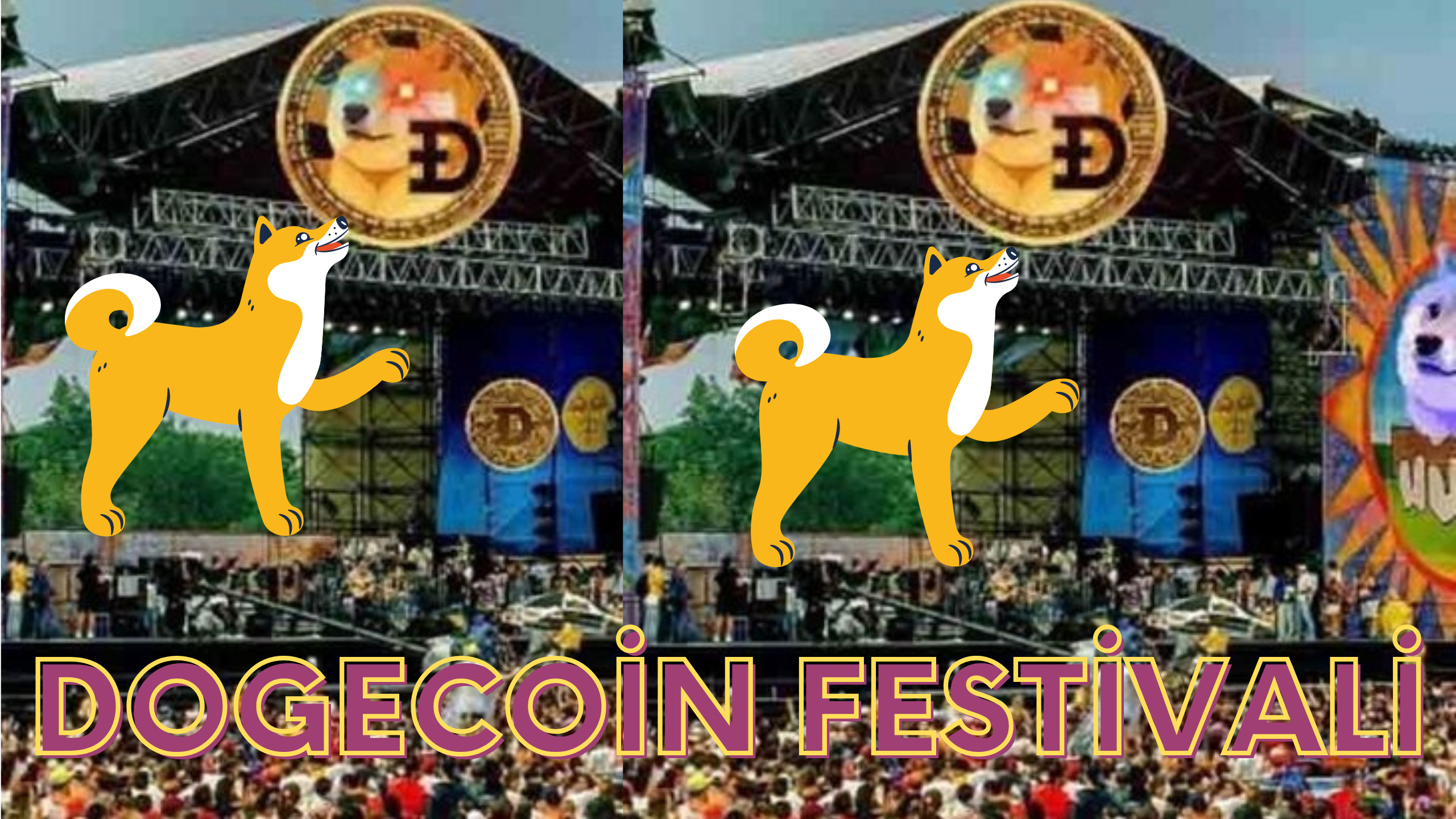 dogecoin festivali