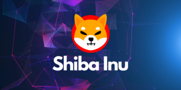 Sonunda Bu Altcoin'lerde Beklenen Yükseliş Geliyor! Shiba İnu'ya Dikkat! 13 Shiba İnu (SHİB)