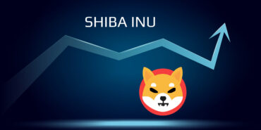 Shiba Inu, Dijital Kimlik Doğrulaması ile DeFi Arenasında Yeni Bir Döneme Adım Atıyor 10 Shiba İnu (SHIB) Yükseliyor