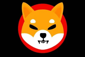 Shiba İnu (SHIB) Yükseliyor.