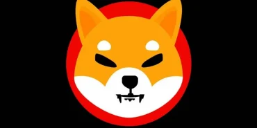 Shiba İnu İçin Beklenen Rapor Sonunda Geldi. Uçuş Başlayabilir Dikkat! 22 Shiba İnu (SHIB) Yükseliyor.