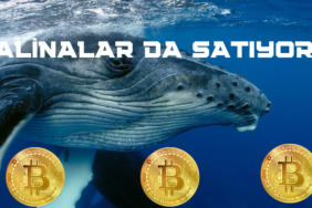 Bitcoin (BTC)'de Büyük Kayıp, Satan Kaçıyor! 6 BALİNALAR DA SATIYOR !!