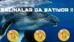 BALİNALAR DA SATIYOR !!