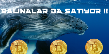 BALİNALAR DA SATIYOR !!
