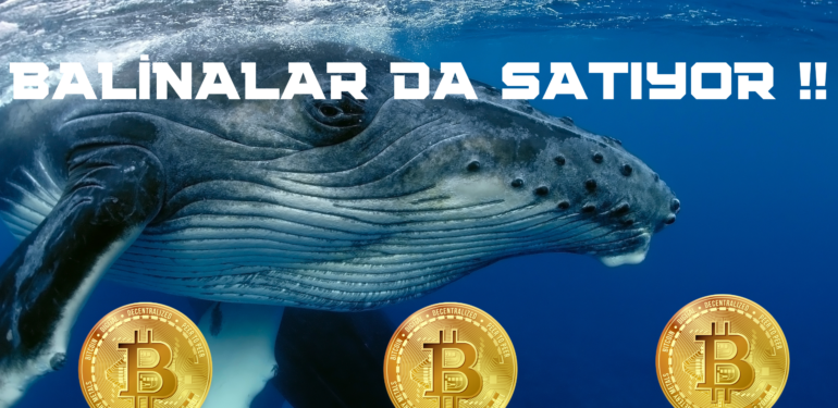 BALİNALAR DA SATIYOR !!