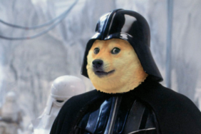 Dogecoin (DOGE)
