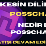 Posschain Nedir? Nereden Alınır? 40 HERKESIN DILINE