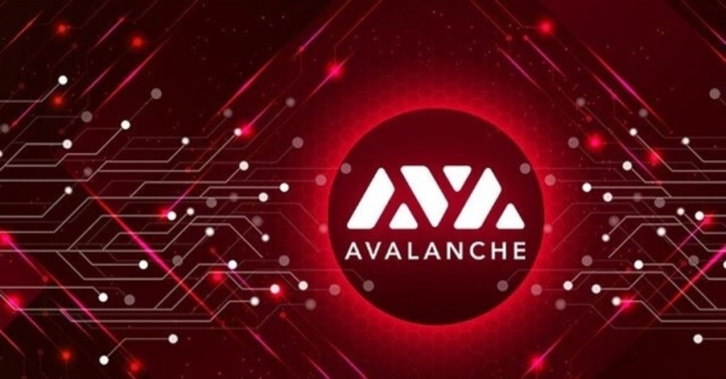 Avalanche (AVAX) Coin Projeleri