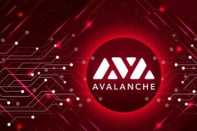 Avalanche (AVAX) Coin: Kripto Dünyasında Devrim Yaratan Hızlı ve Güvenli Bir Platform 30 Avalanche (AVAX) Coin Projeleri
