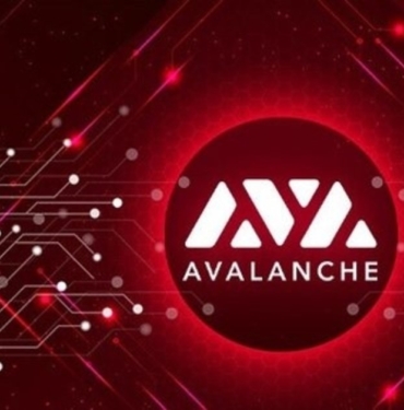 Avalanche (AVAX) Coin: Kripto Dünyasında Devrim Yaratan Hızlı ve Güvenli Bir Platform 2 Avalanche (AVAX) Coin Projeleri