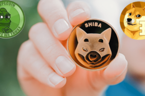 Meme Coinler (DOGE, SHİBA, PEPE)