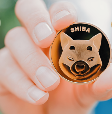 Meme Coinleri (DOGE, SHİBA, PEPE) ve Kripto Dünyasının Eğlence Dolu Yolculuğu: Web3 Teknolojilerine Bir Bakış 2 Meme Coinler (DOGE, SHİBA, PEPE)