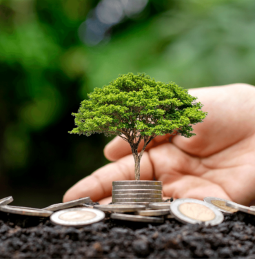 İnjective Protocol (İNJ) Coin Projeleri