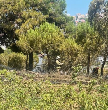 15 Temmuz Şehitler Köprüsü yakınları ile Büyükçekmecede otluk alan yangını