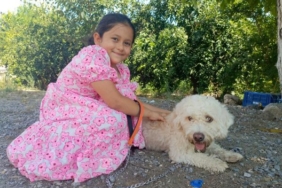 7 yaşındaki Hifa'nın çalınan köpeği 'Çıtır', bulundu 6 7 yaşındaki Hifa'nın çalınan köpeği 'Çıtır', bulundu