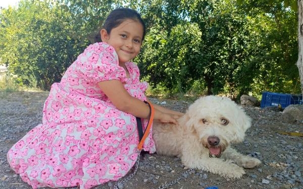 7 yaşındaki Hifa'nın çalınan köpeği 'Çıtır', bulundu 6 7 yaşındaki Hifa'nın çalınan köpeği 'Çıtır', bulundu
