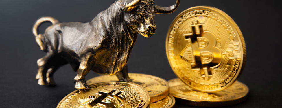 Bitcoin Haberleri | Bitcoin | Altcoinlerde Son Yaşananlar 18 Bitcoin Altcoin Haberleri