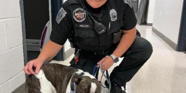 ABD’de bir yolcu köpeğini havalimanında terk etti 20 ABDde bir yolcu köpeğini havalimanında terk etti