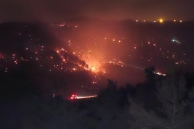 Adana'da orman yangını (2) 36 Adanada orman yangını 2