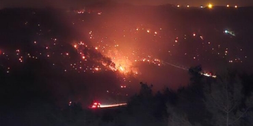 Adanada orman yangını 2