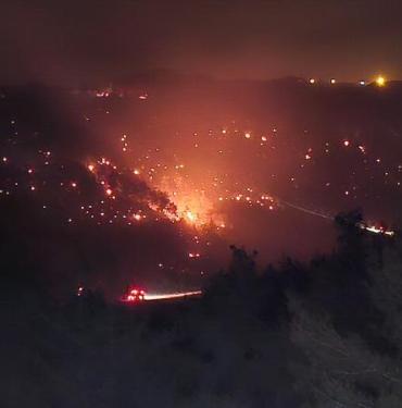 Adanada orman yangını 2