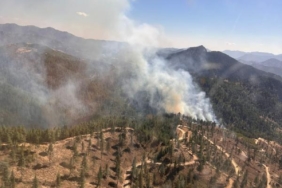 Adana'da orman yangını 3 Adanada orman yangını