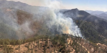 Adanada orman yangını