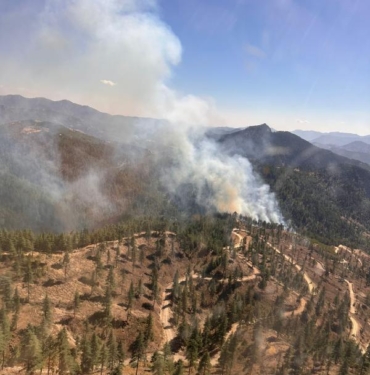 Adanada orman yangını