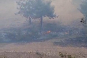 Adanada orman yangını