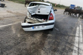 Adanada otomobil TIRa çarptı 1 ölü 1 yaralı