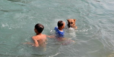 Adana'da termometreler 54 dereceyi gösterdi; sulama kanalları doldu 36 Adanada termometreler 54 dereceyi gösterdi sulama kanalları doldu