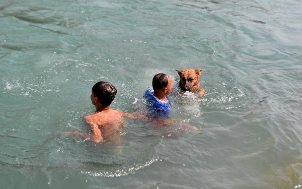Adana'da termometreler 54 dereceyi gösterdi; sulama kanalları doldu 6 Adanada termometreler 54 dereceyi gösterdi sulama kanalları doldu