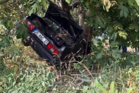Ağaca çarpan otomobilin sürücüsü ile arkadaşı öldü 3 Ağaca çarpan otomobilin sürücüsü ile arkadaşı öldü